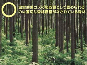 適切な森林経営がなされている森林