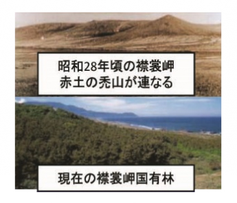 襟裳岬「えりも岬の緑を守る会」