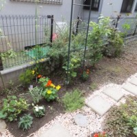 DSCF1136-column2
