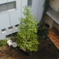 DSCN2890-column2