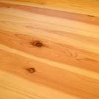 IMG_0645-column3