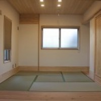 IMG_0748-column3
