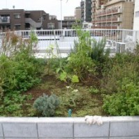 IMG_2237-column2