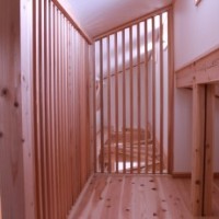IMG_2705-column2