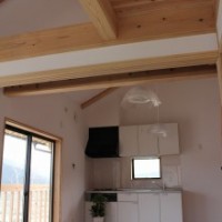 IMG_7571-column3