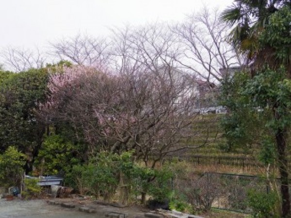中間検査サムネイル