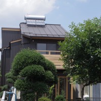 IMGP5295
