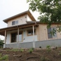 IMG_1036-column3