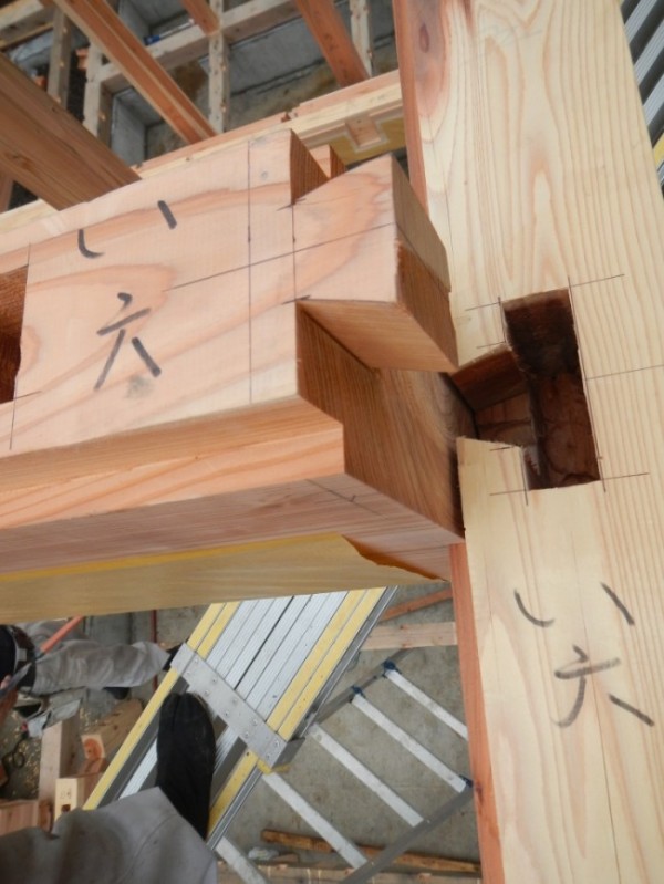 Ｍ様邸構造見学会～普段は見られない壁の中身全部見せます！～＆資金セミナーサムネイル