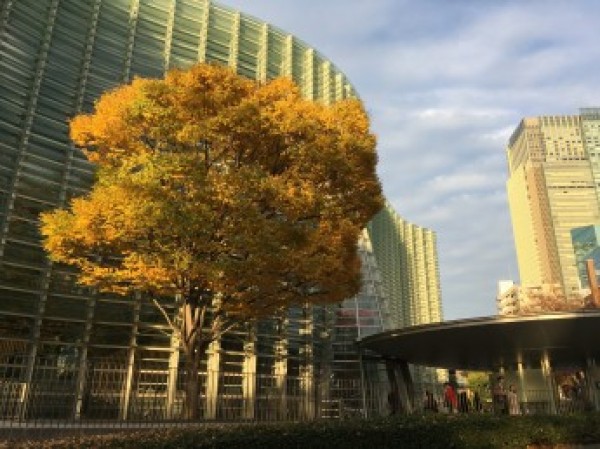 安藤忠雄展＠国立新美術館サムネイル