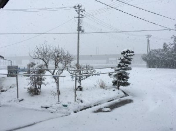 今年もよろしくお願い致します！サムネイル