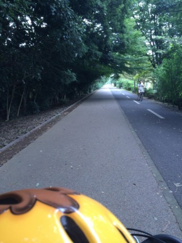 小金井公園サムネイル