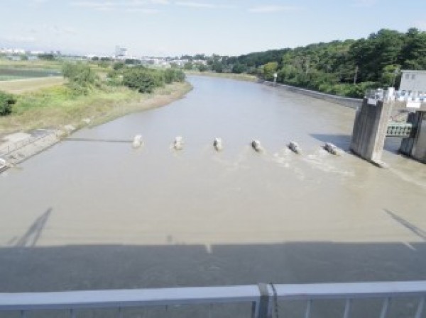 多摩川観察サムネイル